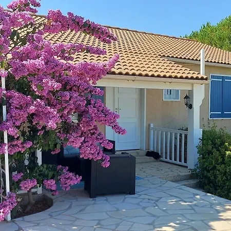 Bougainvilliers *